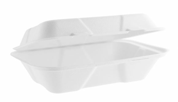BAGASSE CLAMSHELL BOX 9X6 INCH- PACK OF 250
