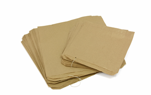 10 X 10" KRAFT BROWN STRUNG PAPER BAGS
